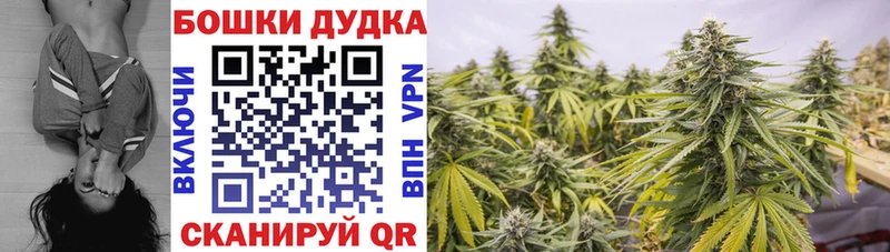 купить сайты Инта Конопля план